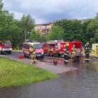 Fotka nr 2 z 10