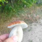 zdjęcie nr 9