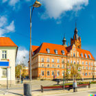 zdjęcie nr 8