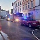 Fotka nr 3 z 13