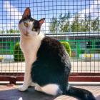 Fotka nr 0 z 3