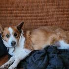 Fotka nr 1 z 3