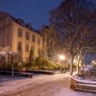 zdjęcie nr 14