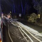Fotka nr 3 z 13