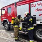 zdjęcie nr 7