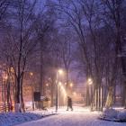 fot. Daniel Frymark