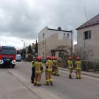 Fotka nr 5 z 7