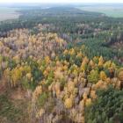 zdjęcie nr 16