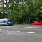 Fotka nr 2 z 5