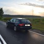 Fotka nr 5 z 7