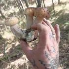 zdjęcie nr 17