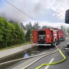 Fotka nr 1 z 17