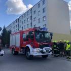 Fotka nr 0 z 17