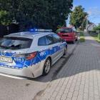 Fotka nr 1 z 2
