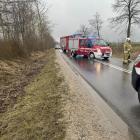 Fotka nr 5 z 10