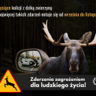 Fotka nr 3 z 5
