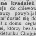 Fotka nr 1 z 7