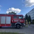 Fotka nr 4 z 17