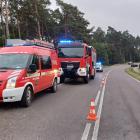 Fotka nr 2 z 3