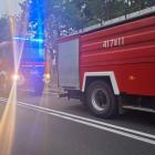 Fotka nr 3 z 8