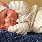 Zachary Stawicki