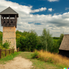 zdjęcie nr 13