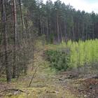 zdjęcie nr 14