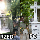 Fotka nr 5 z 6