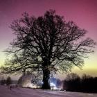 fot. Daniel Frymark