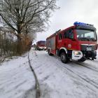 zdjęcie nr 9