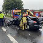 Fotka nr 2 z 11