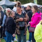 zdjęcie nr 11