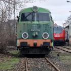 Fotka nr 1 z 3