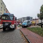 Fotka nr 5 z 6