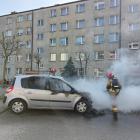 Fotka nr 1 z 4