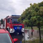 Fotka nr 1 z 12