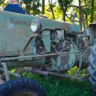 Fotka nr 4 z 21