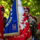 zdjęcie nr 11