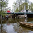 Fotka nr 2 z 16