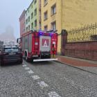 Fotka nr 2 z 3