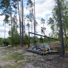 Fotka nr 4 z 17
