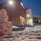 zdjęcie nr 20