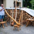 Fotka nr 1 z 11