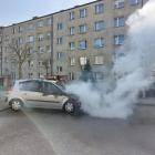 Fotka nr 3 z 4