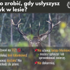 Fotka nr 3 z 5