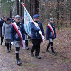 Fotka nr 3 z 41