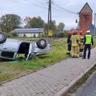 Fotka nr 2 z 4