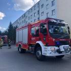 Fotka nr 2 z 17