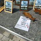 zdjęcie nr 15