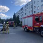 Fotka nr 3 z 17